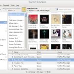 Banshee media player